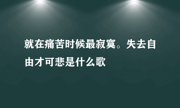 就在痛苦时候最寂寞。失去自由才可悲是什么歌