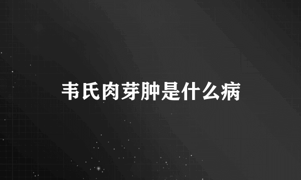 韦氏肉芽肿是什么病