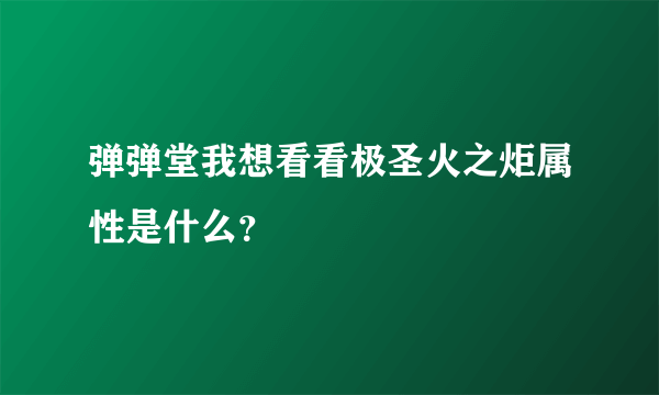 弹弹堂我想看看极圣火之炬属性是什么？