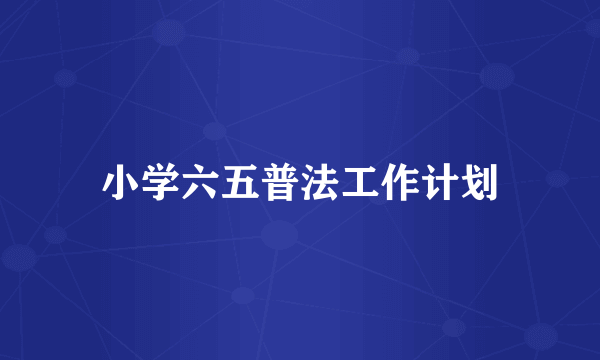 小学六五普法工作计划