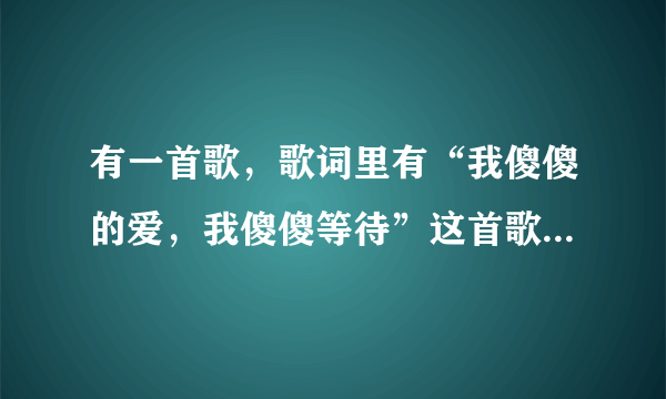 有一首歌，歌词里有“我傻傻的爱，我傻傻等待”这首歌的名字是什么？