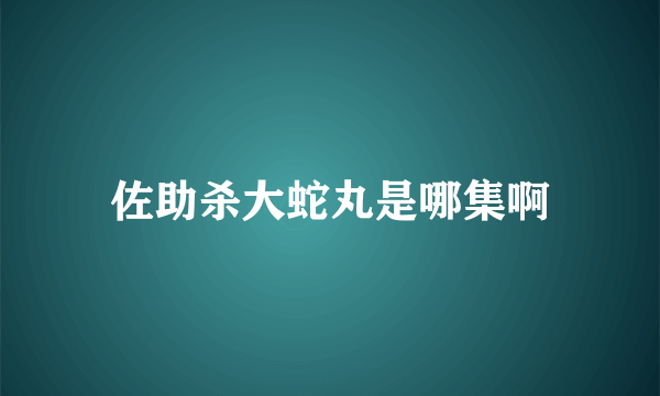 佐助杀大蛇丸是哪集啊