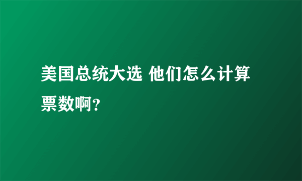 美国总统大选 他们怎么计算票数啊？