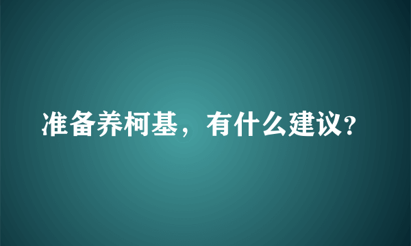 准备养柯基，有什么建议？