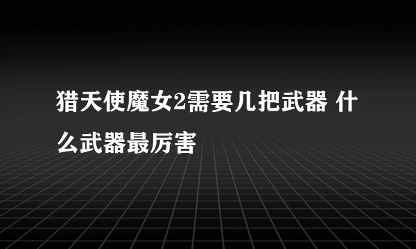 猎天使魔女2需要几把武器 什么武器最厉害