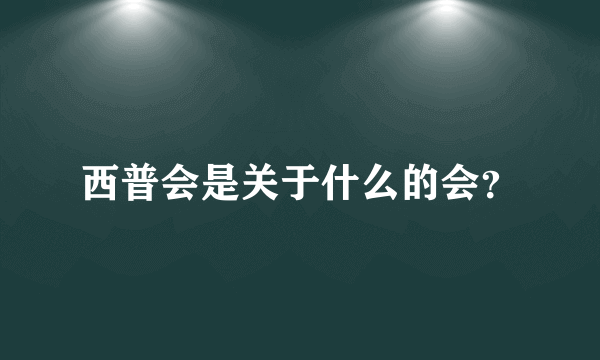 西普会是关于什么的会？