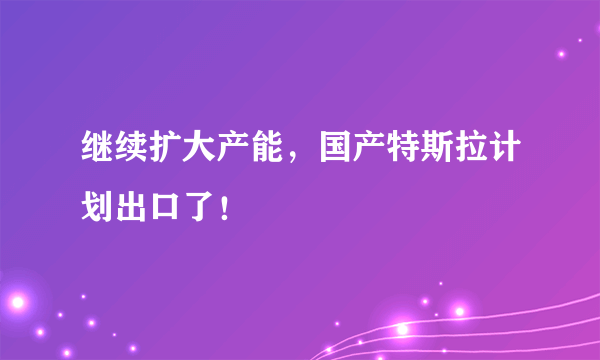 继续扩大产能，国产特斯拉计划出口了！