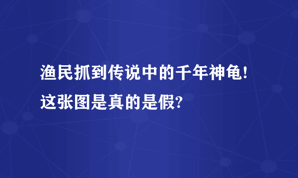 渔民抓到传说中的千年神龟! 这张图是真的是假?