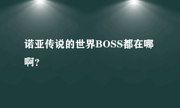 诺亚传说的世界BOSS都在哪啊？