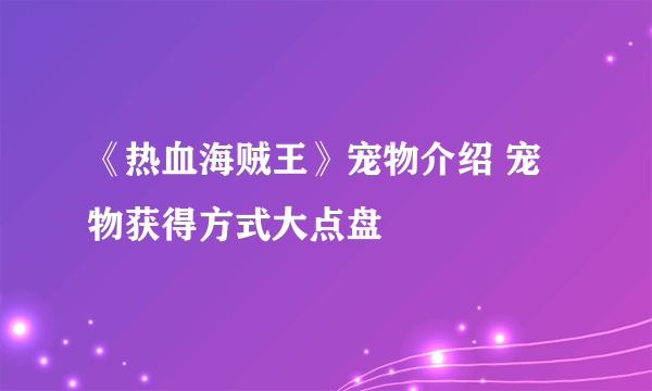 《热血海贼王》宠物介绍 宠物获得方式大点盘