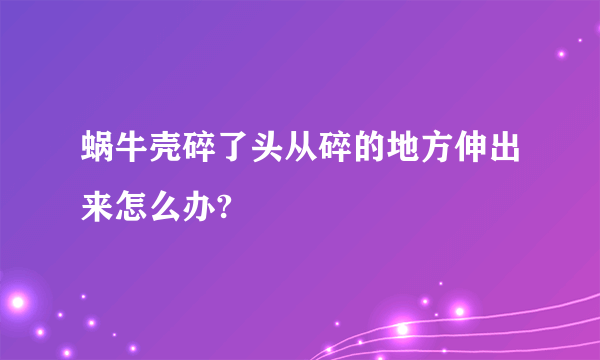 蜗牛壳碎了头从碎的地方伸出来怎么办?