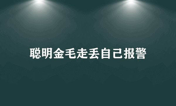 聪明金毛走丢自己报警