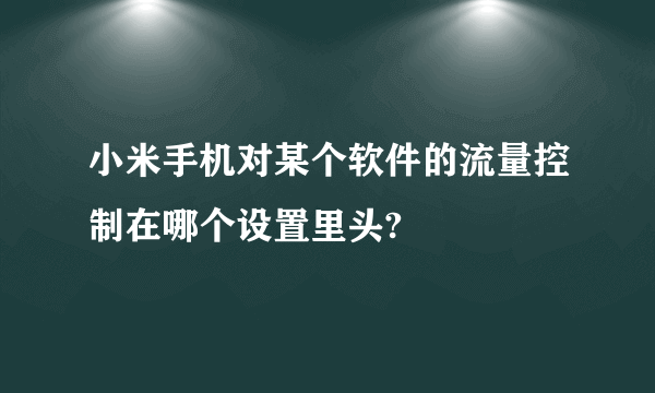 小米手机对某个软件的流量控制在哪个设置里头?