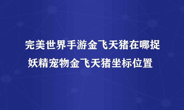 完美世界手游金飞天猪在哪捉 妖精宠物金飞天猪坐标位置