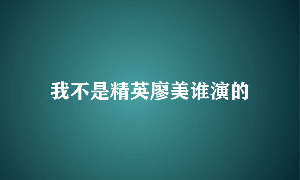 我不是精英廖美谁演的