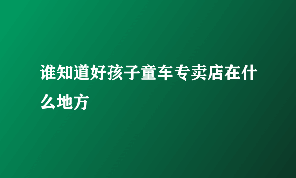 谁知道好孩子童车专卖店在什么地方