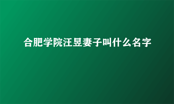 合肥学院汪昱妻子叫什么名字