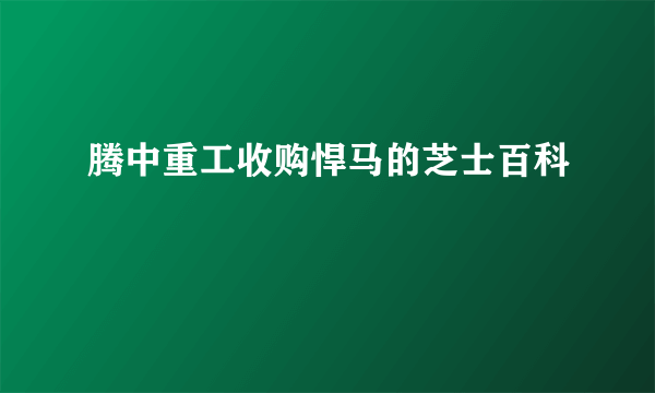 腾中重工收购悍马的芝士百科