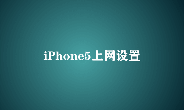 iPhone5上网设置