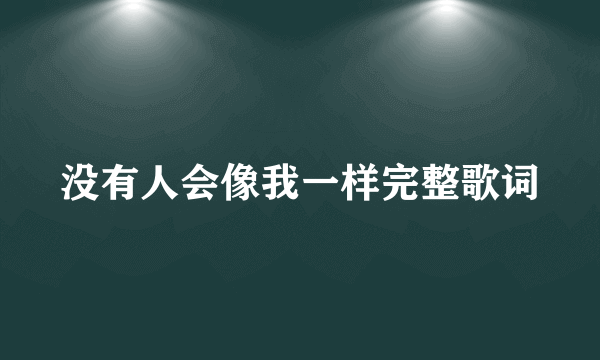 没有人会像我一样完整歌词