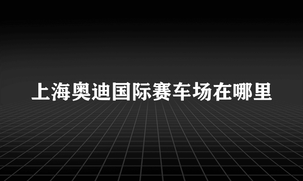 上海奥迪国际赛车场在哪里